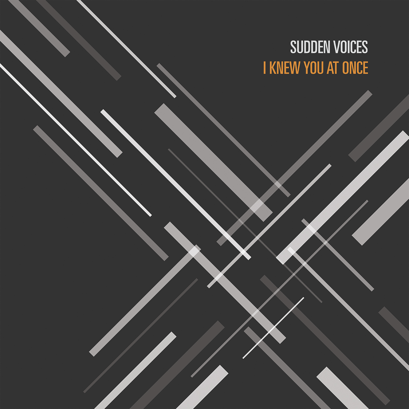 Sudden Voices: 'I Knew You At Once' EP