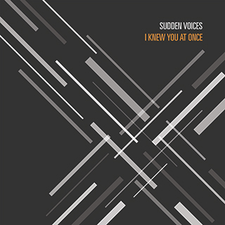 'I Knew You At Once' cover art