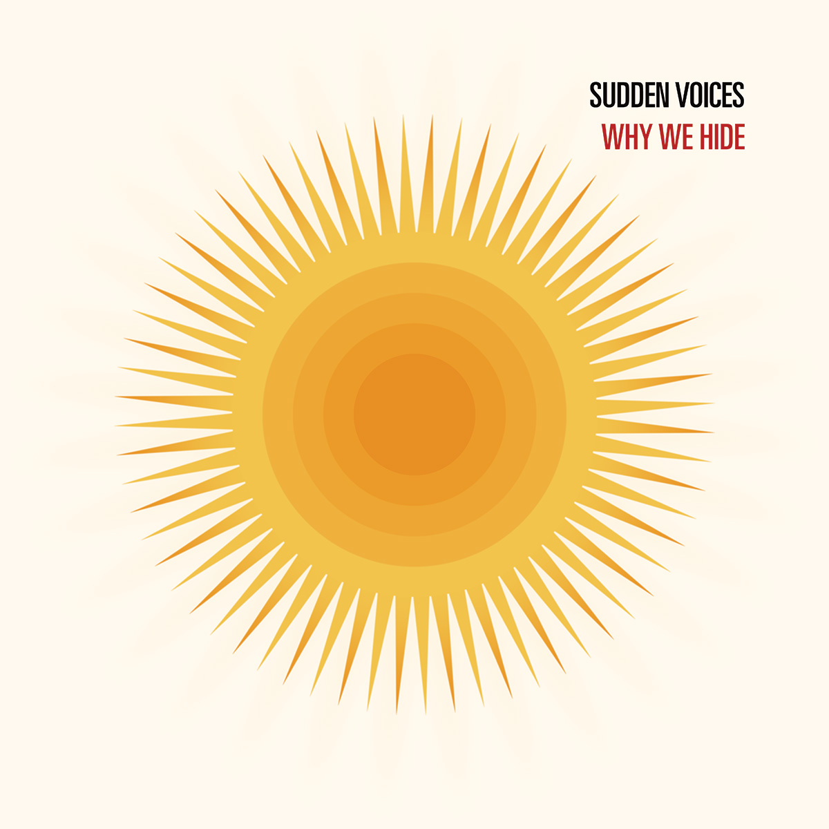 Why We Hide cover art